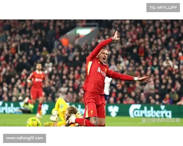 那不勒斯加速与卢卡谈判努涅斯转会进程停滞不前